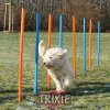 Výcvik psů Trixie agility slalom tyče 12ks 115 cm