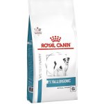 Royal Canin Veterinary Health Nutrition Anallergenic Small Dog 3 kg – Sleviste.cz