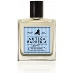 Mondial Italy Voda po holení MONDIAL Originál Talc 100 ml - ANTICA BARBERIA – Hledejceny.cz