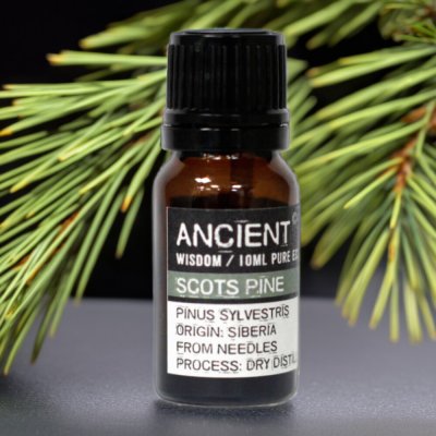 Ancient Scots Pine esenciální olej 10 ml – Hledejceny.cz