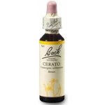 Bachovy květové esence Cerato Rožec 20 ml – Hledejceny.cz