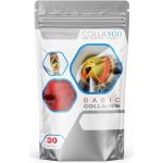 Collango kolagen typu I BASIC 300g – Hledejceny.cz