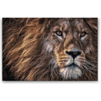 Vymalujsisam Malování podle čísel Dravý pohled lva