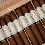 Leonel 10 Aniversario Toro Gordo 12 ks – Zbozi.Blesk.cz