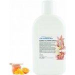 PM Aqualog esence do parních kabin pomeranč-med 860-001/D 1 l – Hledejceny.cz