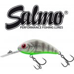 Salmo Rattlin hornet Floating 5,5cm Ghost Perch – Zbozi.Blesk.cz