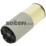 Vzduchový filtr PURFLUX A1524