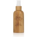 TanOrganic Tanning Facial Mist 50 ml – Zboží Dáma