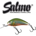 Salmo Hornet Floating Holo Oikawa 3,5 cm – Hledejceny.cz