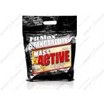 Fitmax Mass Active 2000 g – Hledejceny.cz