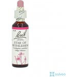 Bachovy květové esence Snědek okoličnatý Star of Bethlehem 20 ml – Hledejceny.cz