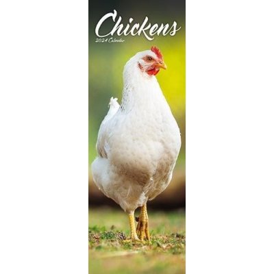 Chickens Slim Bird Slimline 12 Month 2024