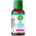 Zelená Země CBD kloubní výživa pro psy sirup 100 ml – Hledejceny.cz