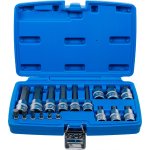 BGS 5172, Sada nástrčných hlavic | 6,3 mm (1/4") / 12,5 mm (1/2") | vnitřní tisícihran (pro XZN) | 18dílná – Zboží Dáma