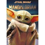 TREFL Premium Plus Star Wars Mandalorian Grogu 1000 dílků – Hledejceny.cz