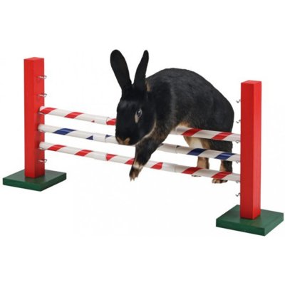 Bravson střední překážka pro králíky a jiné hlodavce Kerbl Upright Jump 30 x 62 cm – Zboží Mobilmania