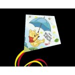 Günther Disney WINNIE POOH pro děti 70 x 70 cm – Zboží Mobilmania