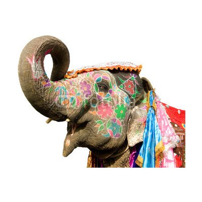 WEBLUX 33964152 Fototapeta vliesová hand painted elephant profile ručně malovaný profil slonů Jaipur Rajasthan Indie rozměry 270 x 200 cm – Zboží Mobilmania