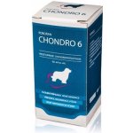 Roboran Chondro 6 pro psy 180 cps – Zbozi.Blesk.cz