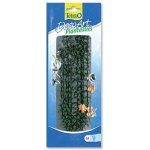 Tetra Hygrophila L 30 cm – Sleviste.cz