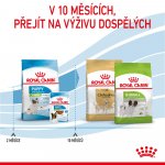 Royal Canin X-Small Puppy 1,5 kg – Hledejceny.cz