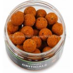 Karel Nikl Criticals boilies Devill Krill 150g 20mm – Hledejceny.cz