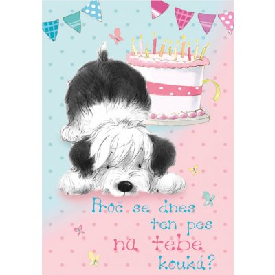 Ditipo Hrací přání K narozeninám Proč se dnes ten pes na tebe kouká? Lucie Vondráčková Cizí pes 224 x 157 mm – Zboží Mobilmania
