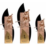 Trofej se sportovní siluetou Biatlon žena Velká výška 40 cm – Zboží Mobilmania