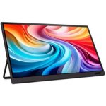Acer Portable PM191QEb – Zboží Živě