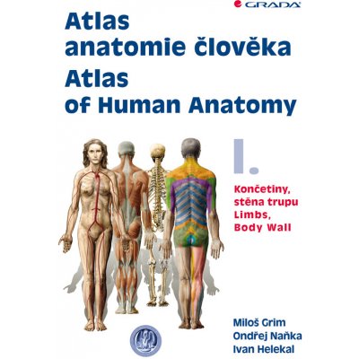 Atlas anatomie člověka I. - Atlas of Human Anatomy I. – Zboží Mobilmania