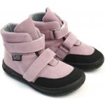 Jonap Jerry orchid – Sleviste.cz