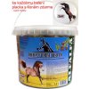 Krmivo a vitamíny pro koně Apetit Delicacy Horse Biscuits ALFALFA 3,5 l