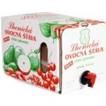Lhenická ovocná šťáva jablko 100% 5000 ml – Zboží Dáma