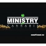 Ministry of Cannabis God's Glue semena neobsahují THC 2 ks – Sleviste.cz