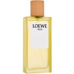 Loewe Agua toaletní voda unisex 100 ml – Hledejceny.cz