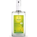 Weleda Citrus deospray 100 ml – Hledejceny.cz