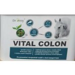 Dromy Vital Colon 3,3 kg – Zboží Dáma