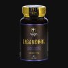 CARTEL LABZ LIGANDROL LGD-4033 10 mg 100 kapslí