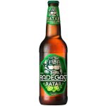 Radegast 10 RATAR s vyšší hořkostí 4,4% 0,5 l (sklo) – Zboží Dáma