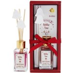 Arôme Holiday Time Apple & Cinnamon Reed Diffuser 100 ml – Sleviste.cz