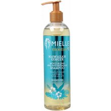 Mielle Moisture RX Hawaiian Ginger Anti-Breakage Shampoo 355 ml
