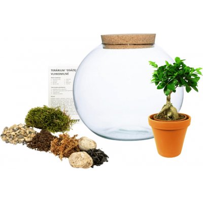 Gardners Skleněná váza boule s korkovým špuntem Osázej SI Sám Ficus Microcarpa Ginseng, L – Hledejceny.cz