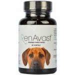 M+H VET AminAvast dog 60 tbl – Zboží Dáma M+H VET AminAvast dog 60 tbl – Zboží Dáma