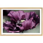 Tradag Rámeček Natura přírodní 70x100 – Zboží Živě