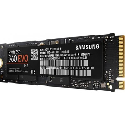 Samsung 960 EVO NVMe M.2 1 TB, MZ-V6E1T0BW – Zbozi.Blesk.cz