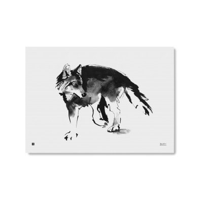 Velký pes sedí na bílém pozadí. brazilská fila. plakáty na zeď • plakáty  krátké vlasy, lapal po dechu, poplach