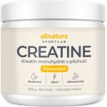 Allnature Sportlab Creatine monohydrát 300 g – Hledejceny.cz