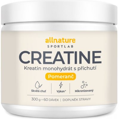 Allnature Sportlab Creatine monohydrát 300 g – Hledejceny.cz