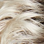 Gisela Mayer Paruka Alba – Zbozi.Blesk.cz