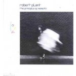 Plant Robert - Principle Of Moments CD – Hledejceny.cz